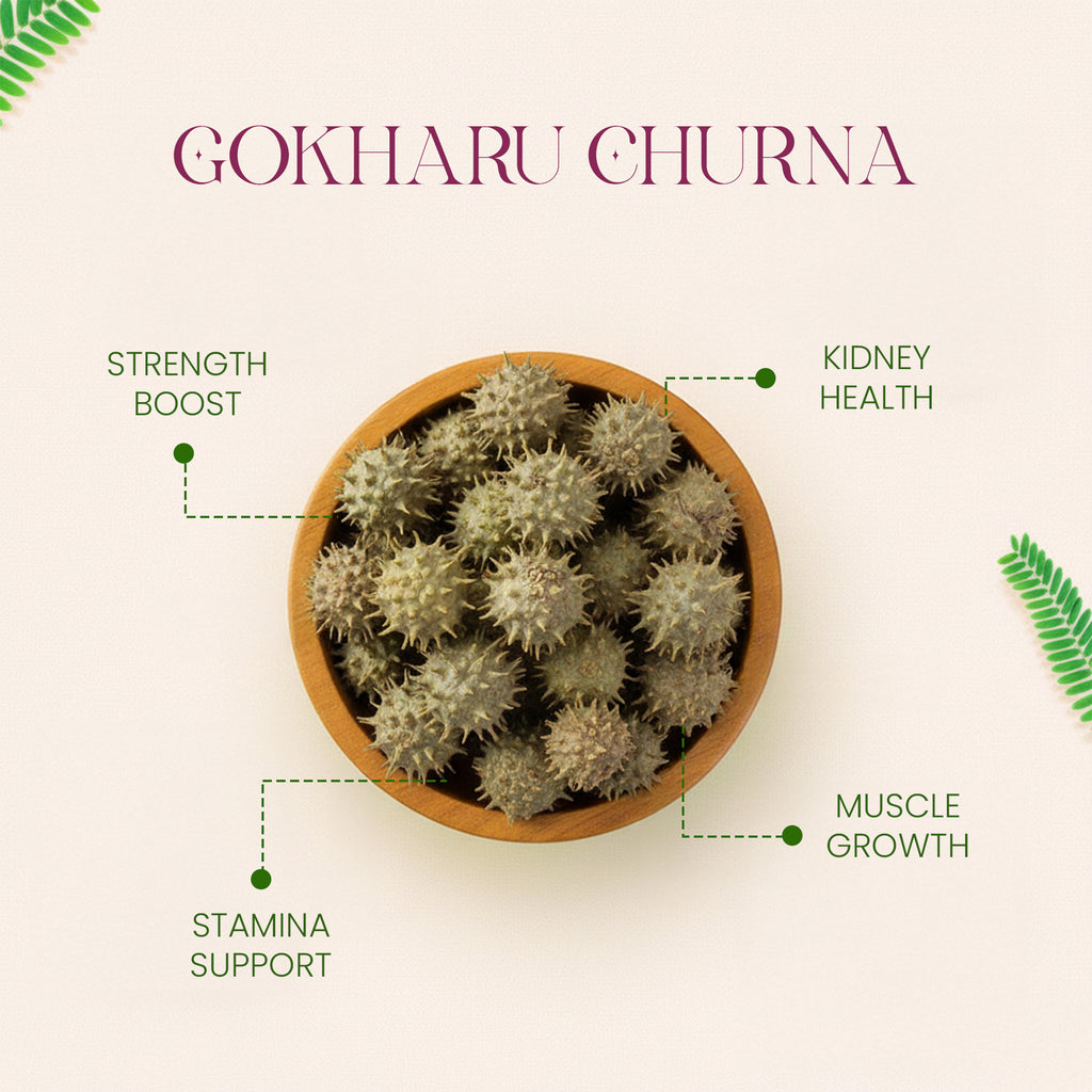 GOKHARU CHURNA