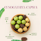 CENOGATHIA® Capsules