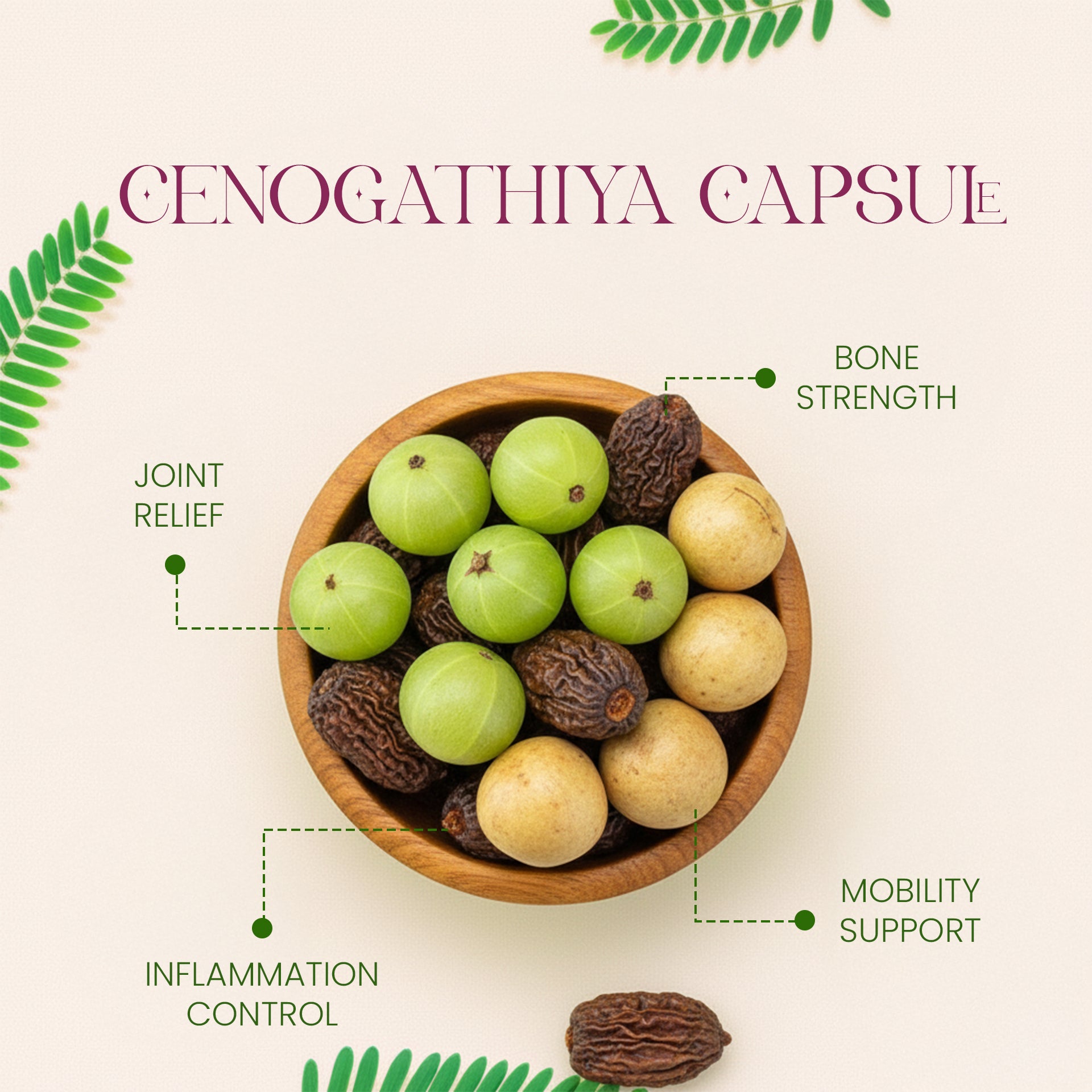 CENOGATHIA® Capsules