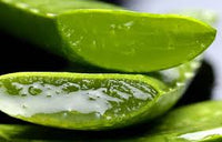Aloevera extract